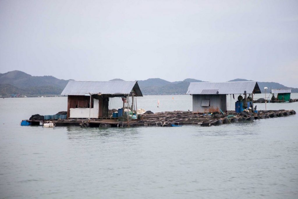 โซล่าเซลล์, พลังงานแสงอาทิตย์, พลังงานหมุนเวียน, พลังงานทดแทน