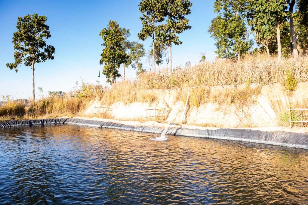 แม่แจ่ม, แม่แจ่มโมเดลพลัส, พืชเชิงเดี่ยว, พืชทดแทน, ไร่ข้าวโพด