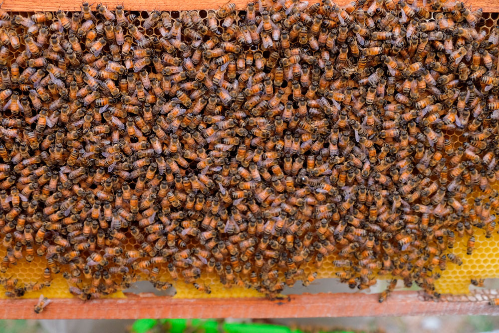 Our Land, ท่องเที่ยวธรรมชาติ, แหล่งท่องเที่ยว, เมืองกาญจน์,