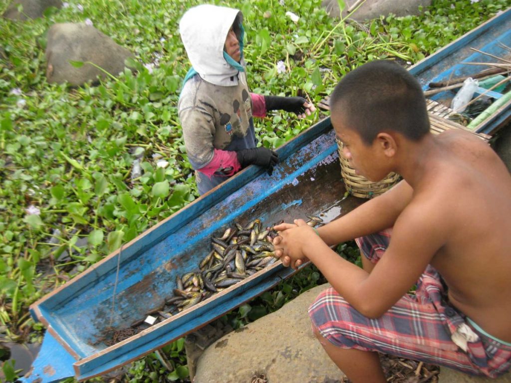 สูญพันธุ์, Red List, บัญชีแดง, IUCN, สัตว์สูญพันธุ์