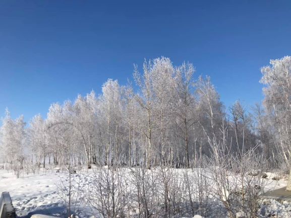 ทะเลอาร์กติก, ขั้วโลกเหนือ, เที่ยวหน้าหนาว, เที่ยวอาร์กติก, เที่ยวขั้วโลกเหนือ