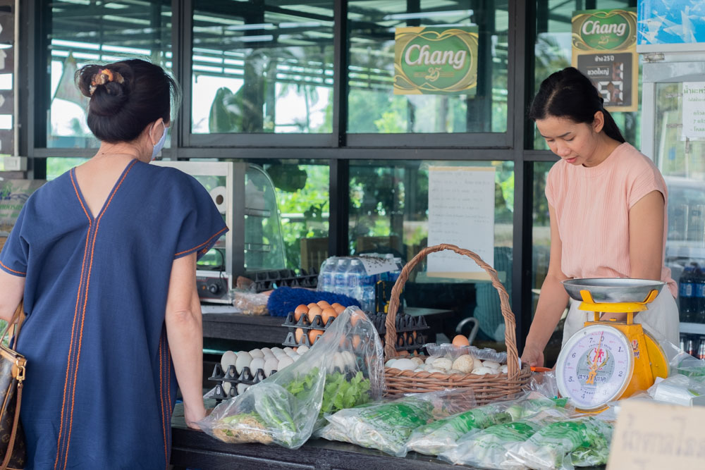 การเกษตรกรรม, การทำเกษตรอนย่างยั่งยืน, ความยั่งยืนทางอาหาร, การทำเกษตร, คนรุ่นใหม่ทำเกษตร, เกษตร, เกษตรกรรม