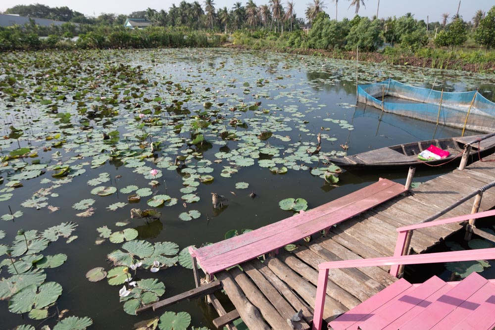 การเกษตรกรรม, การทำเกษตรอนย่างยั่งยืน, ความยั่งยืนทางอาหาร, การทำเกษตร, คนรุ่นใหม่ทำเกษตร, เกษตร, เกษตรกรรม