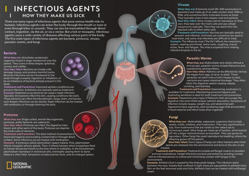 ระบบภูมิคุ้มกัน (Immune System)