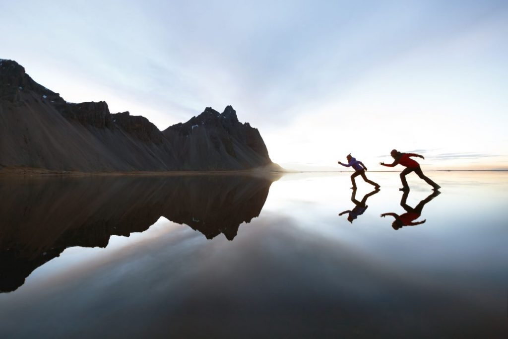 ระบบกระดูก, ระบบโครงร่าง