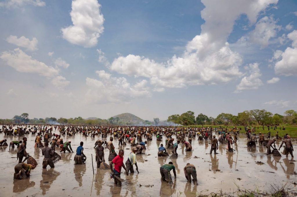 อุทยานแห่งชาติแอฟริกา