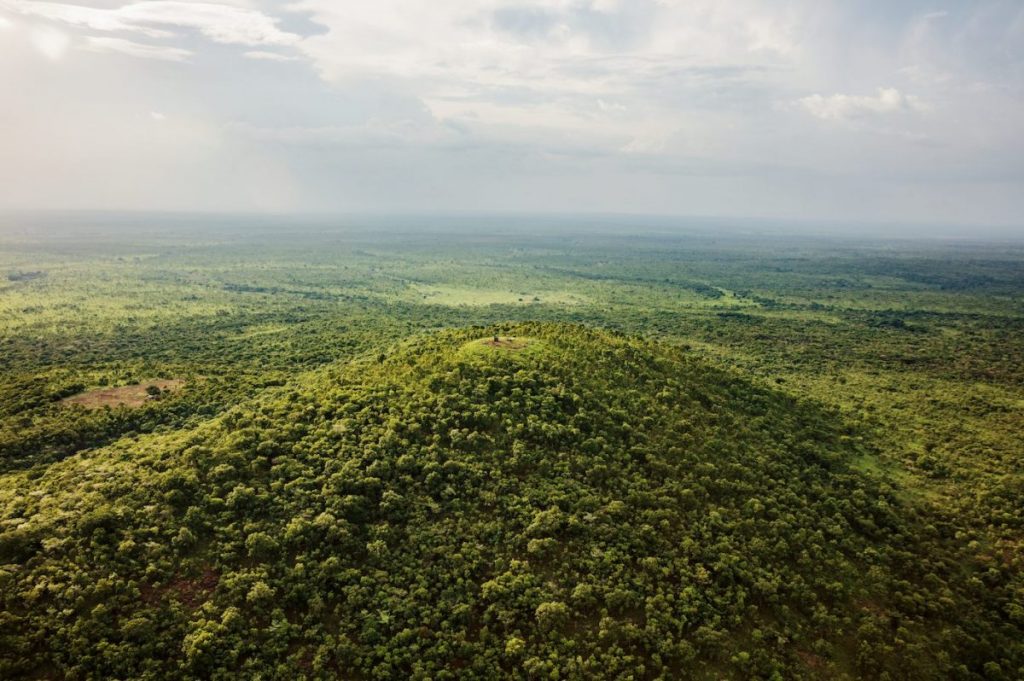 อุทยานแห่งชาติแอฟริกา, คองโก, ป่าไม้, อุทยานแห่งชาติ, แอฟริกา