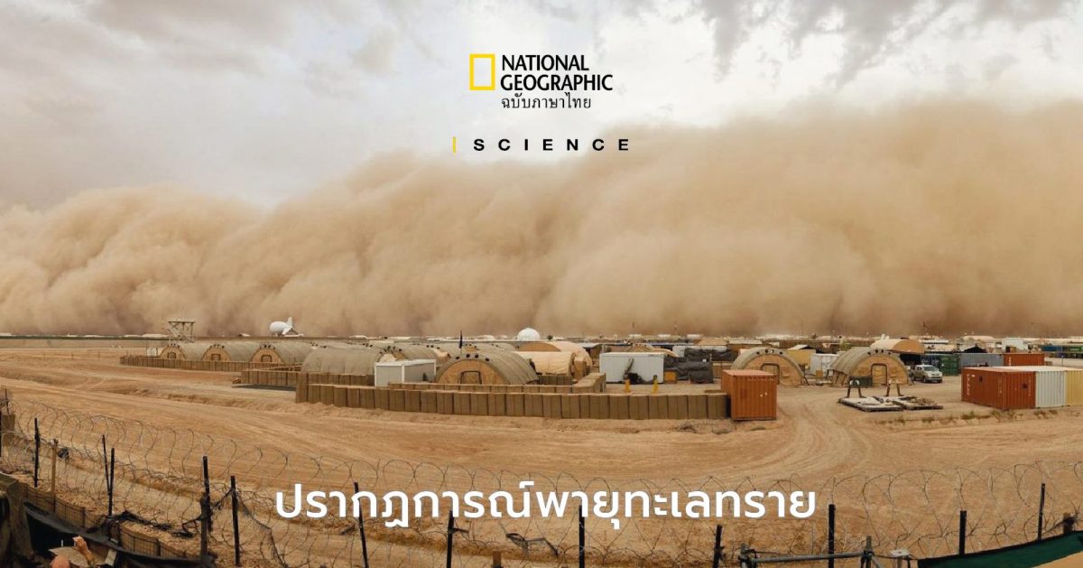 พายุทะเลทราย (Sandstorm) พายุทะเลทราย เกิดขึ้นได้อย่างไร ส่งผลกระทบต่อสิ่งแวดล้อมและมนุษย์อย่างไร
