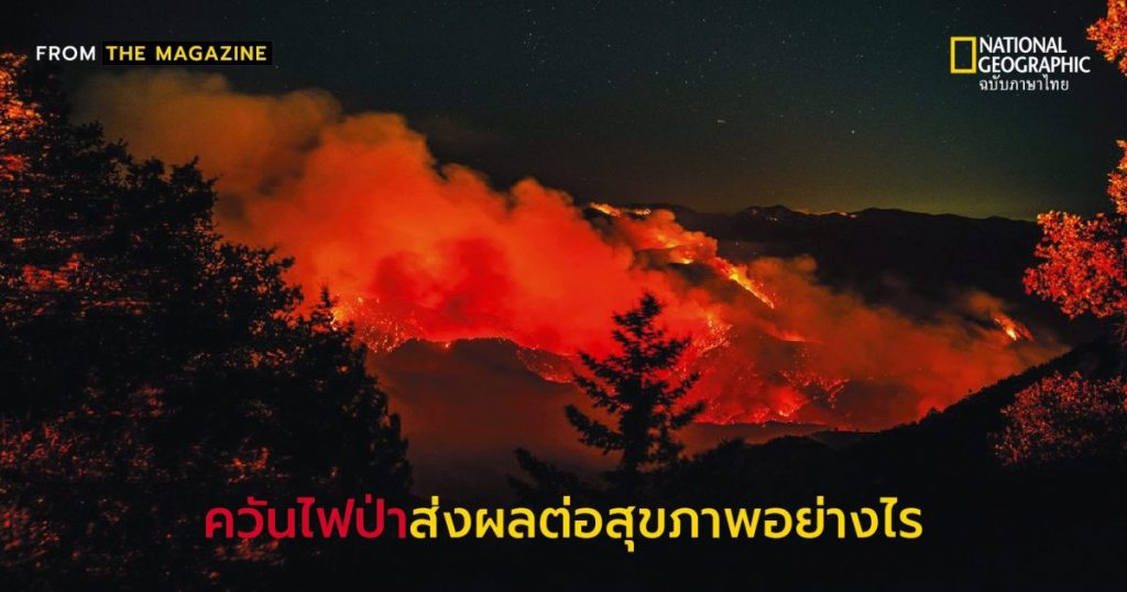 ควันพิษ