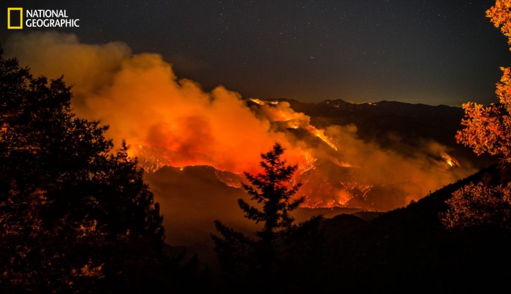 ควันพิษ, ควันไฟ, ไฟป่า