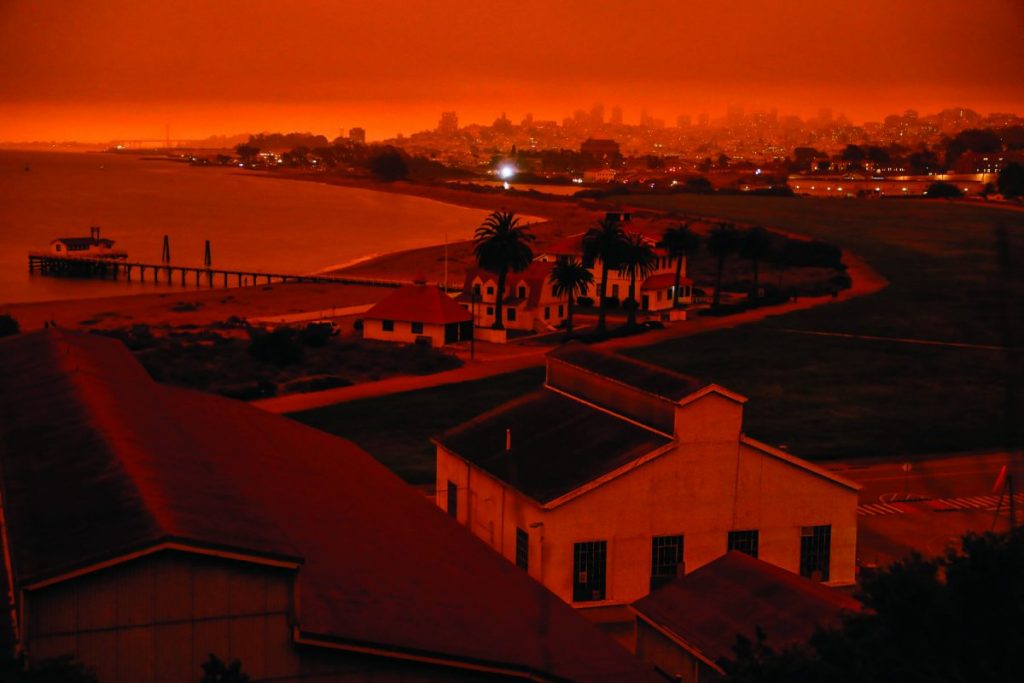 ควันพิษ, ไฟป่า