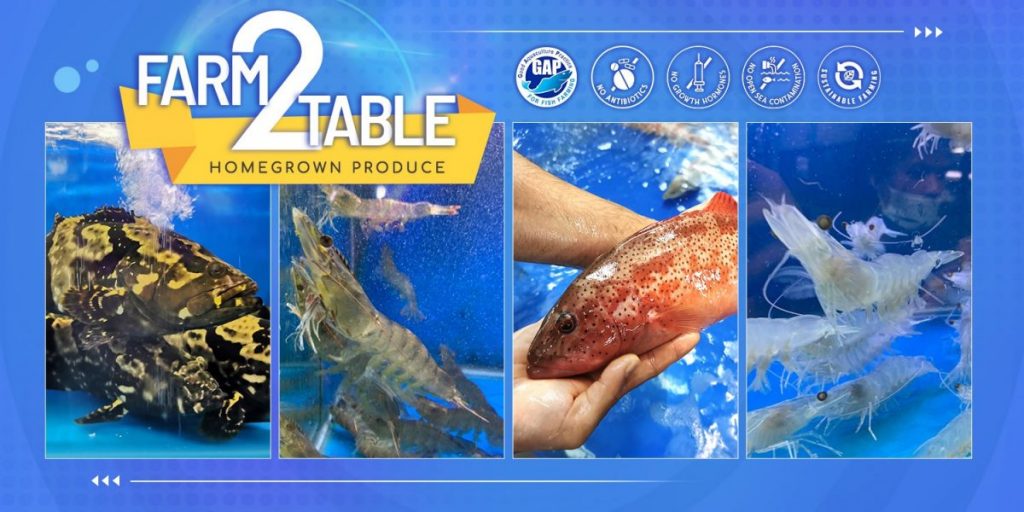 ฟาร์มปลา. เลี้ยงปลา, ประมง, สิงคโปร์, ฟาร์มเลี้ยงปลา, ปลาทะเล