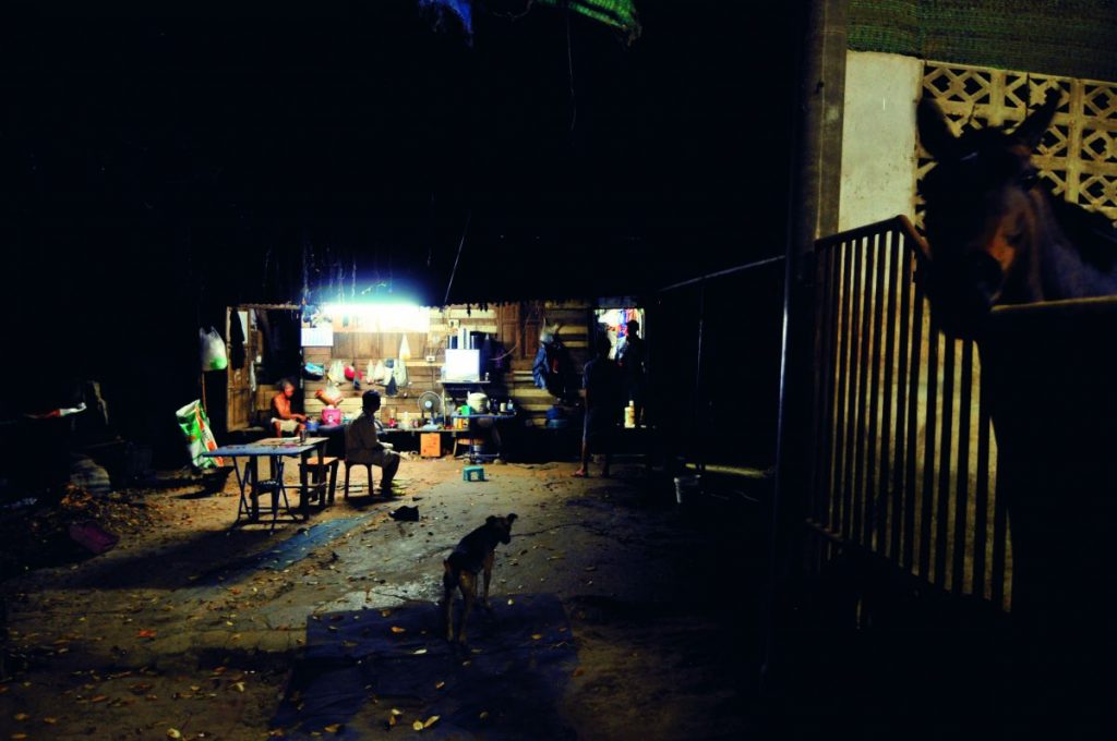 อาชา, ม้าแข่ง