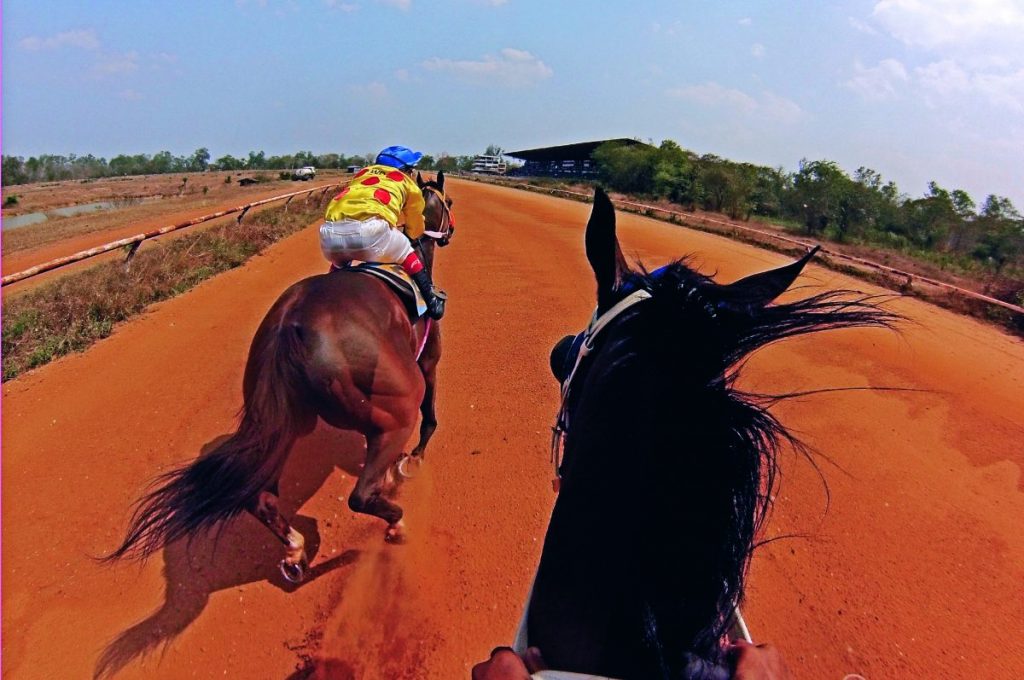 จ๊อกกี้, ม้าแข่ง, แข่งม้า, อาชา