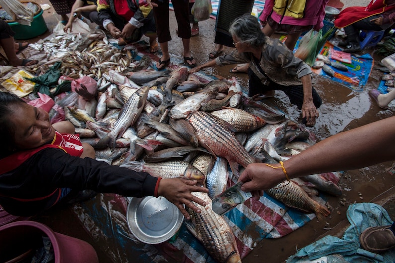 ตลาด, แม่น้ำโขง, ชาวลาว