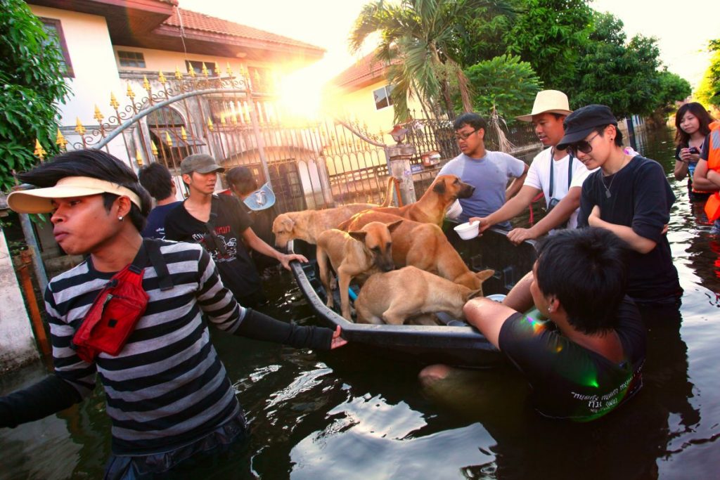 สุนัข, คนรักสุนัข