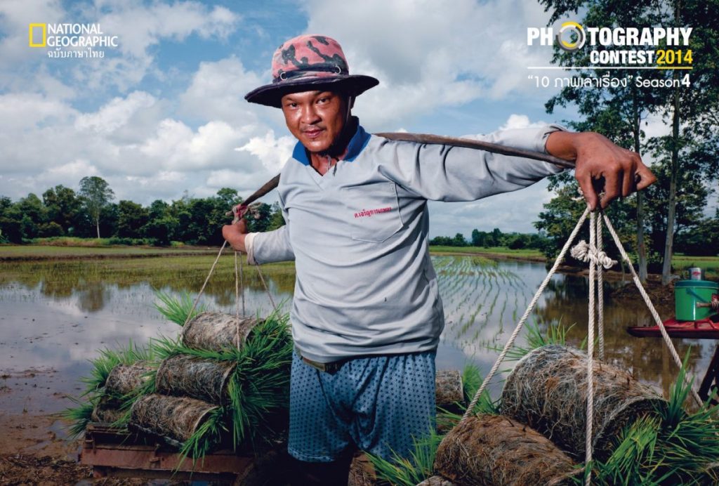 ชาวนา, ต้นกล้า