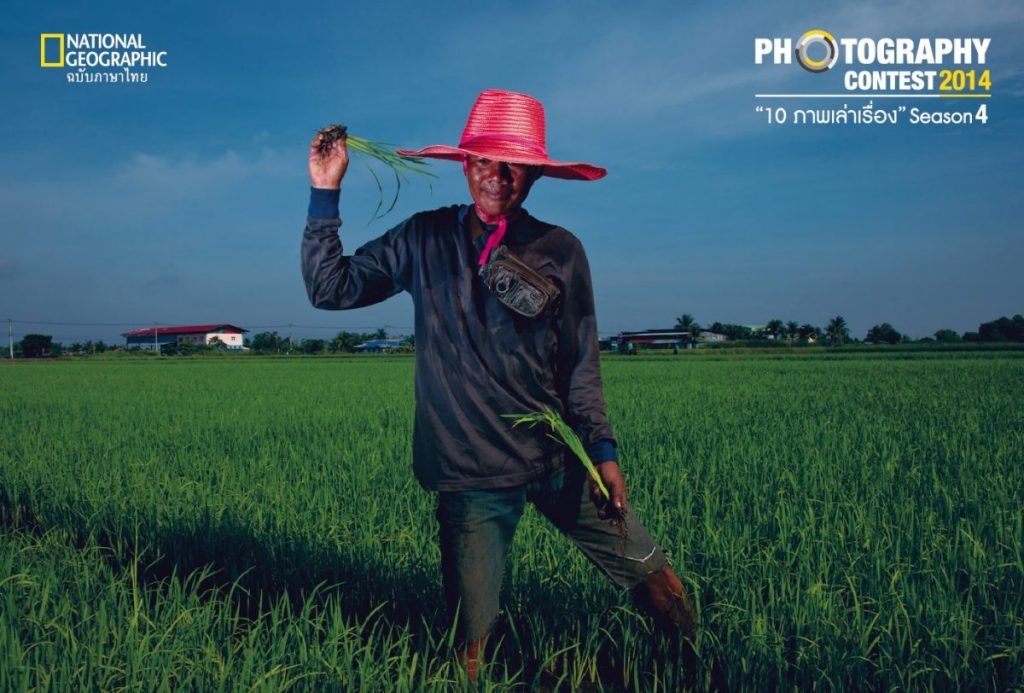 ชาวนา, นาข้าว