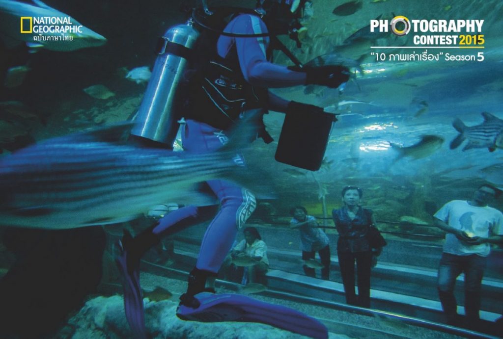 อาคารแสดงพันธุ์สัตว์น้ำบึงบอระเพ็ด, บึงบอระเพ็ด