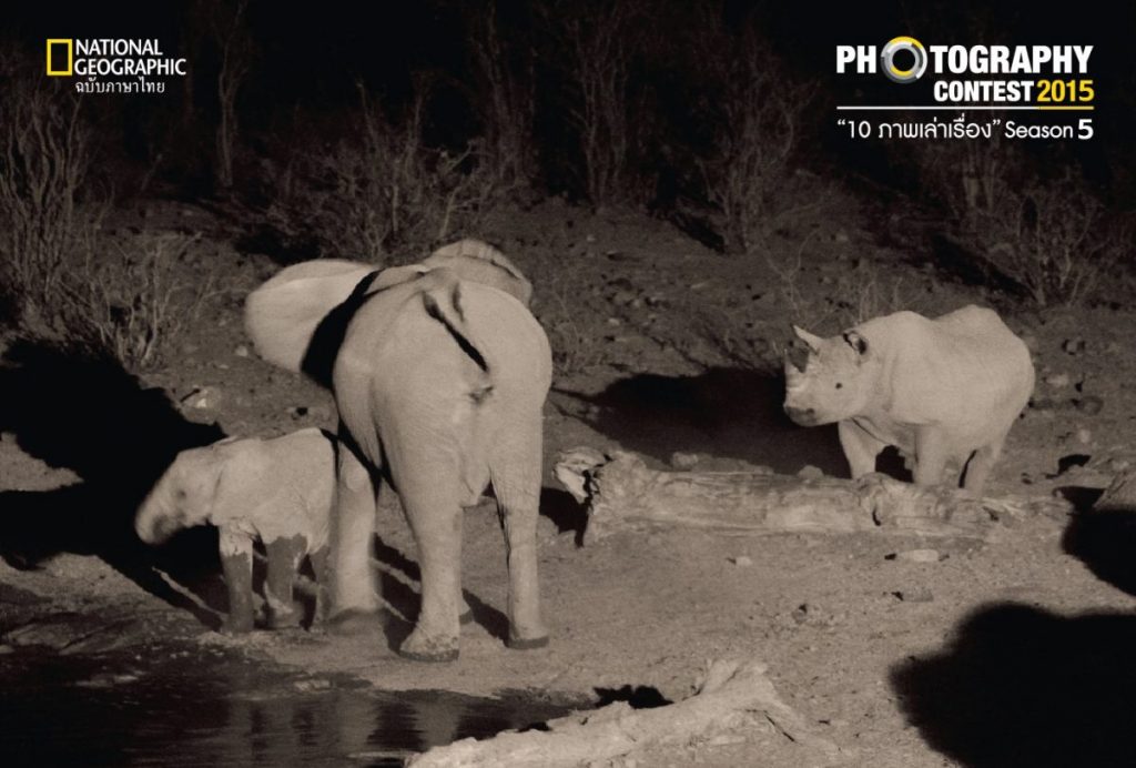 แรด, แอฟริกา