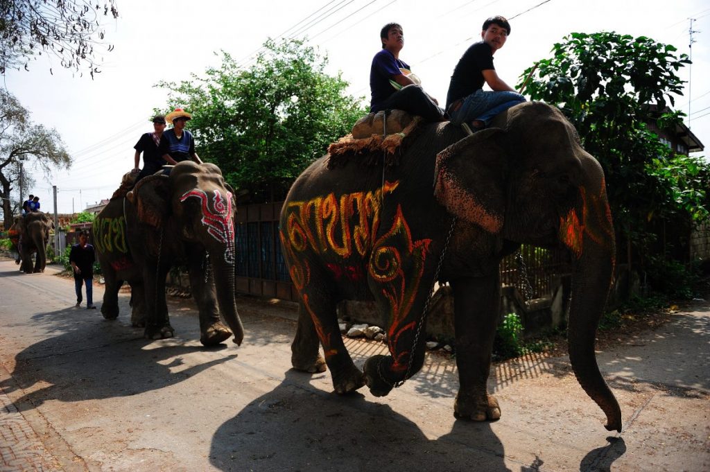 ศรีสัชนาลัย, บวชนาค