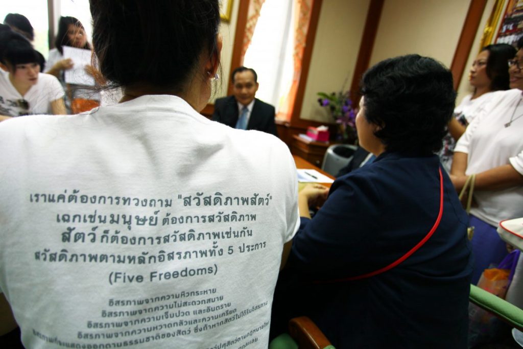 คนรักสุนัข