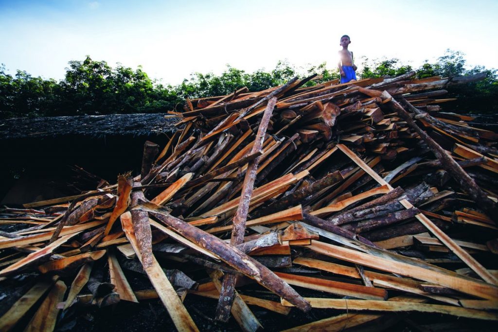 กองไม้, ถ่านไม้, หลุมดำ