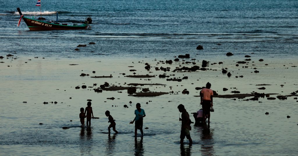 ไทยใหม่