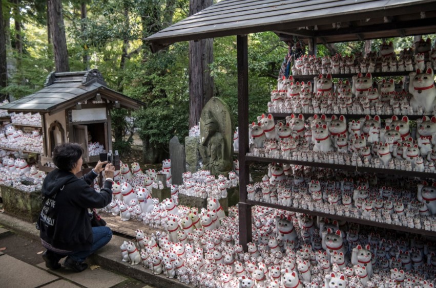 แมวกวัก, วัดโกโทกุจิ, โตเกียว