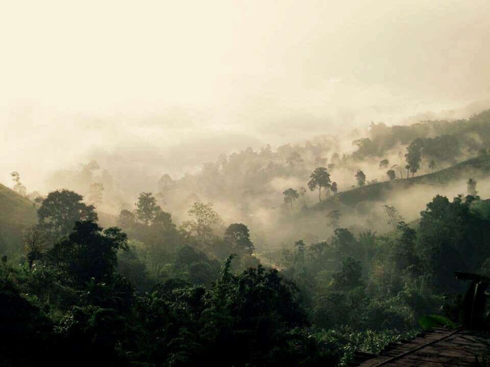 Local Alike, การท่องเที่ยวอย่างยั่งยืน, การท่องเที่ยวชุมชน, ธุรกิจเพื่อสังคม, การท่องเที่ยวอย่างใส่ใจ