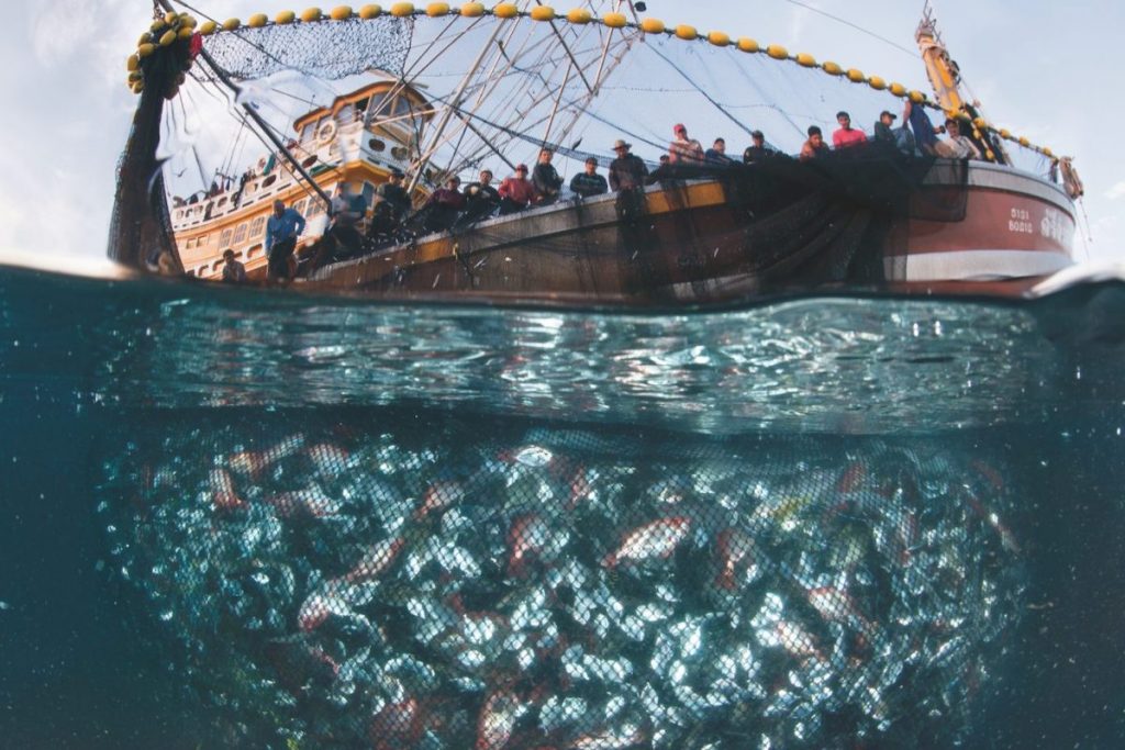 ชาวประมง, เรือประมง, อันดามัน