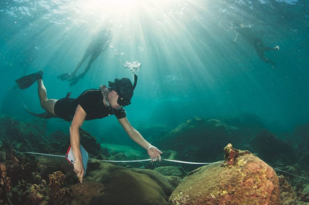 นักวิทยาศาสตร์ทางทะเล, อุทยานแห่งชาติสิรินาถ, ภูเก็ต, ดำน้ำ