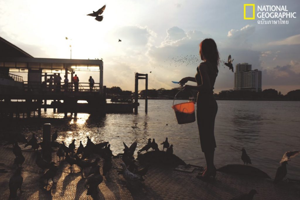 แม่น้ำเจ้าพระยา, ให้อาหารปลา