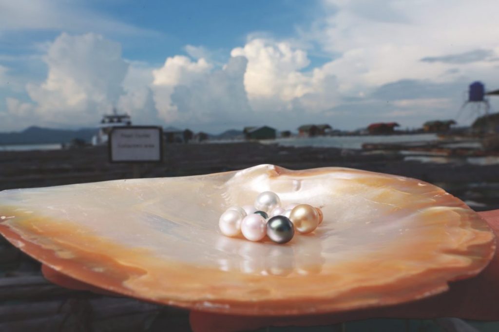 ไข่มุก, อันดามัน, ฟาร์มหอยมุก, ภูเก็ต