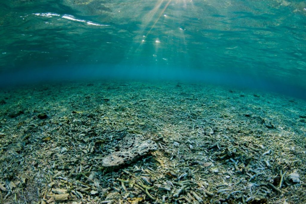การเสื่อมสภาพของถิ่นฐานที่อยู่อาศัย