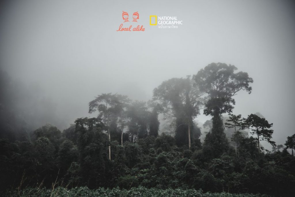 ฮาลา-บาลา, ท่องเที่ยวชุมชน, การท่องเที่ยว, เที่ยวไทย, ฮาลาบาลา