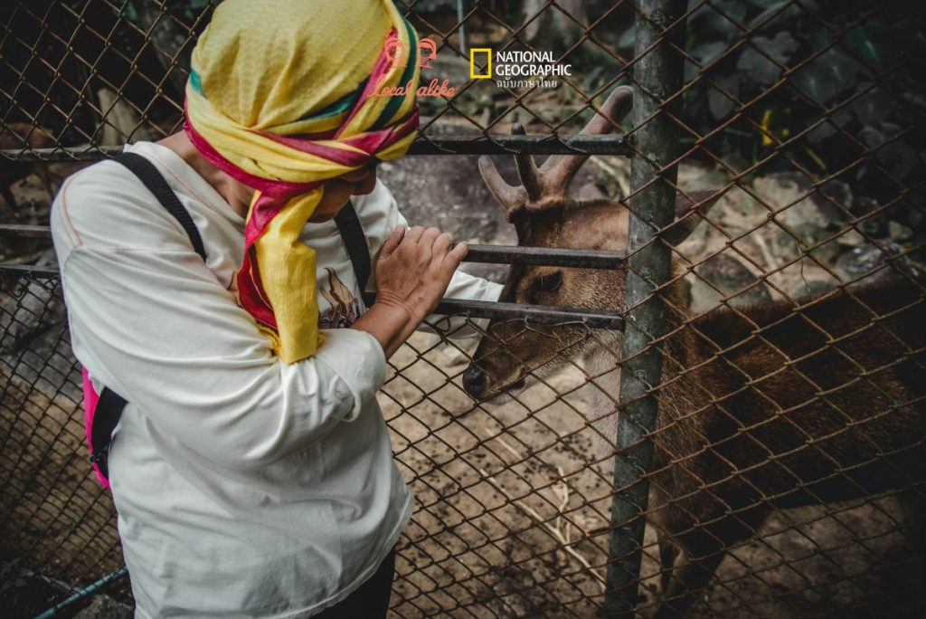 ฮาลา-บาลา, ท่องเที่ยวชุมชน, การท่องเที่ยว, เที่ยวไทย, ฮาลาบาลา