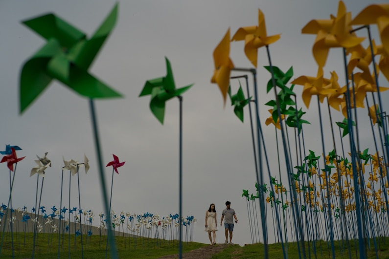 เกาหลีเหนือ, เกาหลีใต้, เขตปลอดทหารเกาหลี