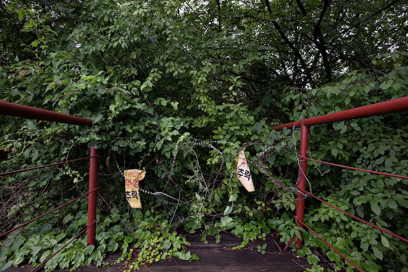 เขตปลอดทหารเกาหลี