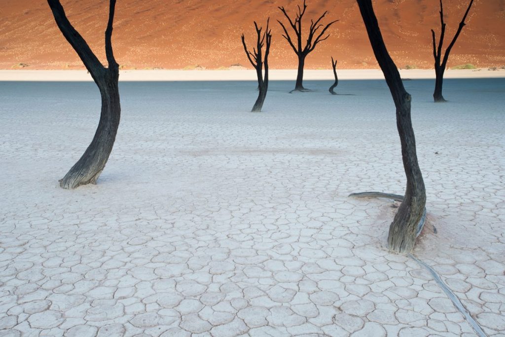 เที่ยวรอบโลก, นามีเบีย, คาเมลธอร์น