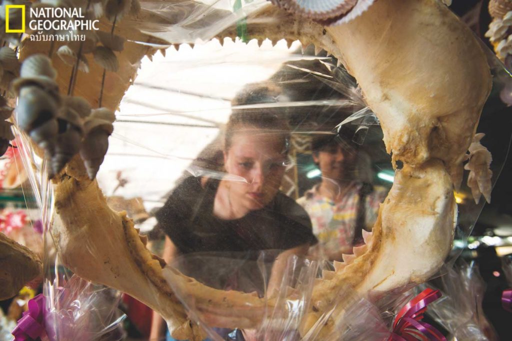 ฉลาม, ฉลามตากแห้ง