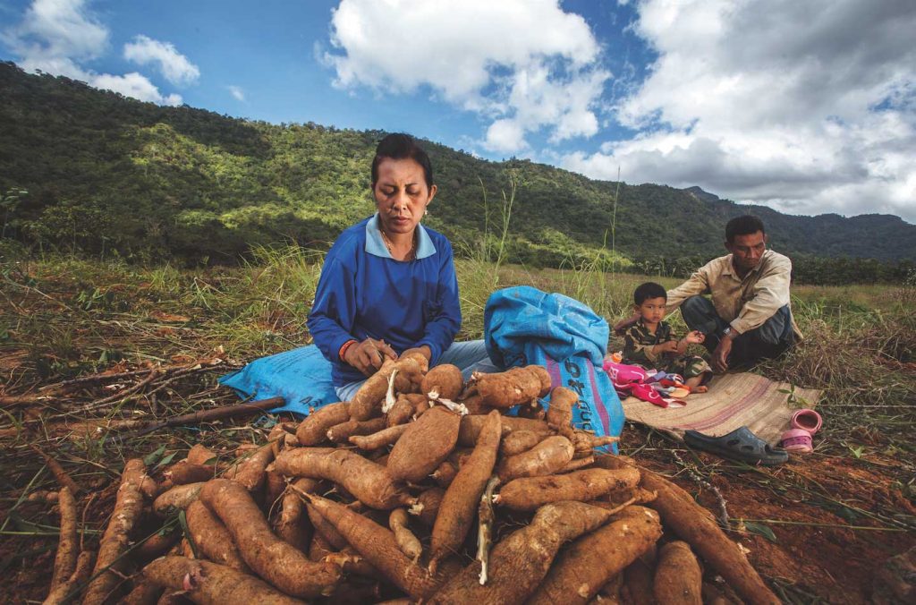 เกษตรกร, เกษตรกรรม