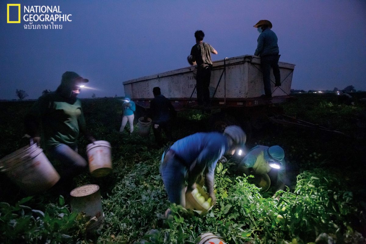 แคลิฟอร์เนีย, โลกร้อน