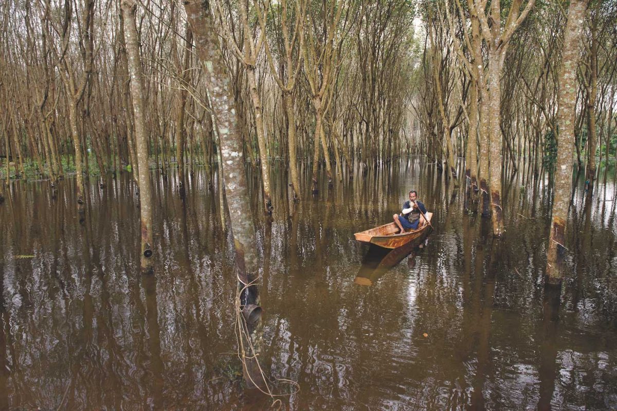 สวนยาง, น้ำท่วม, พุนพิน, สุราษฎร์ธานี