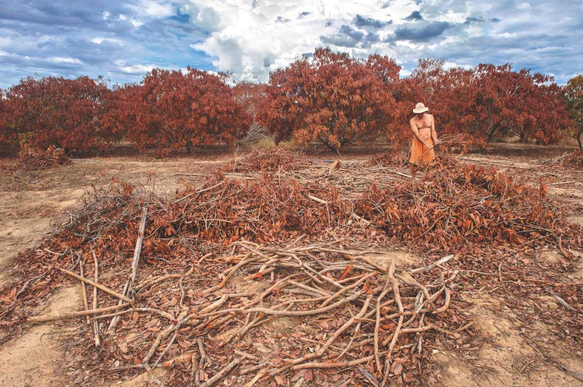 ลมฟ้าอากาศ