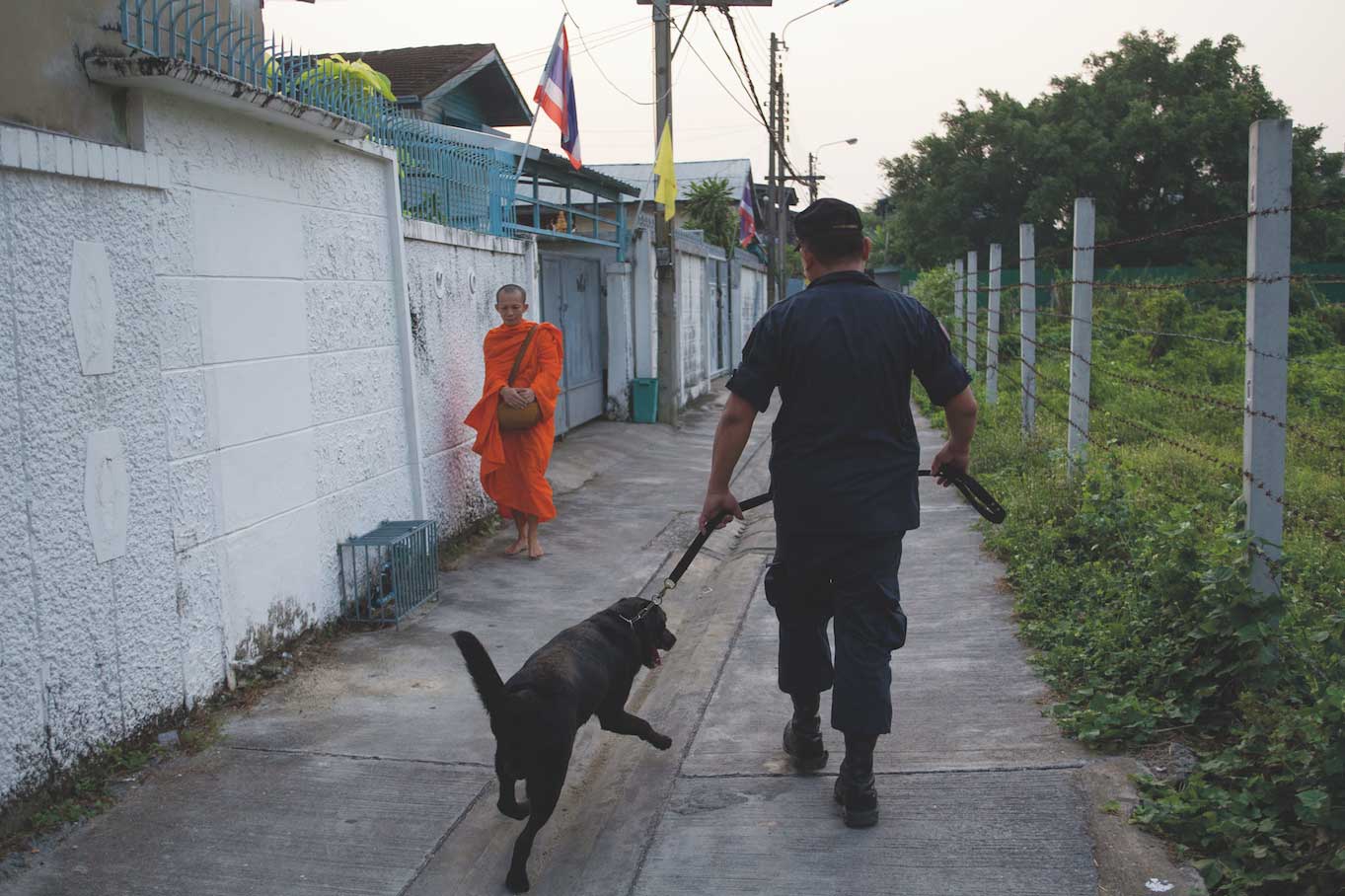 สงครามยาเสพติด, สุนัขตำรวจ, ยาเสพติด