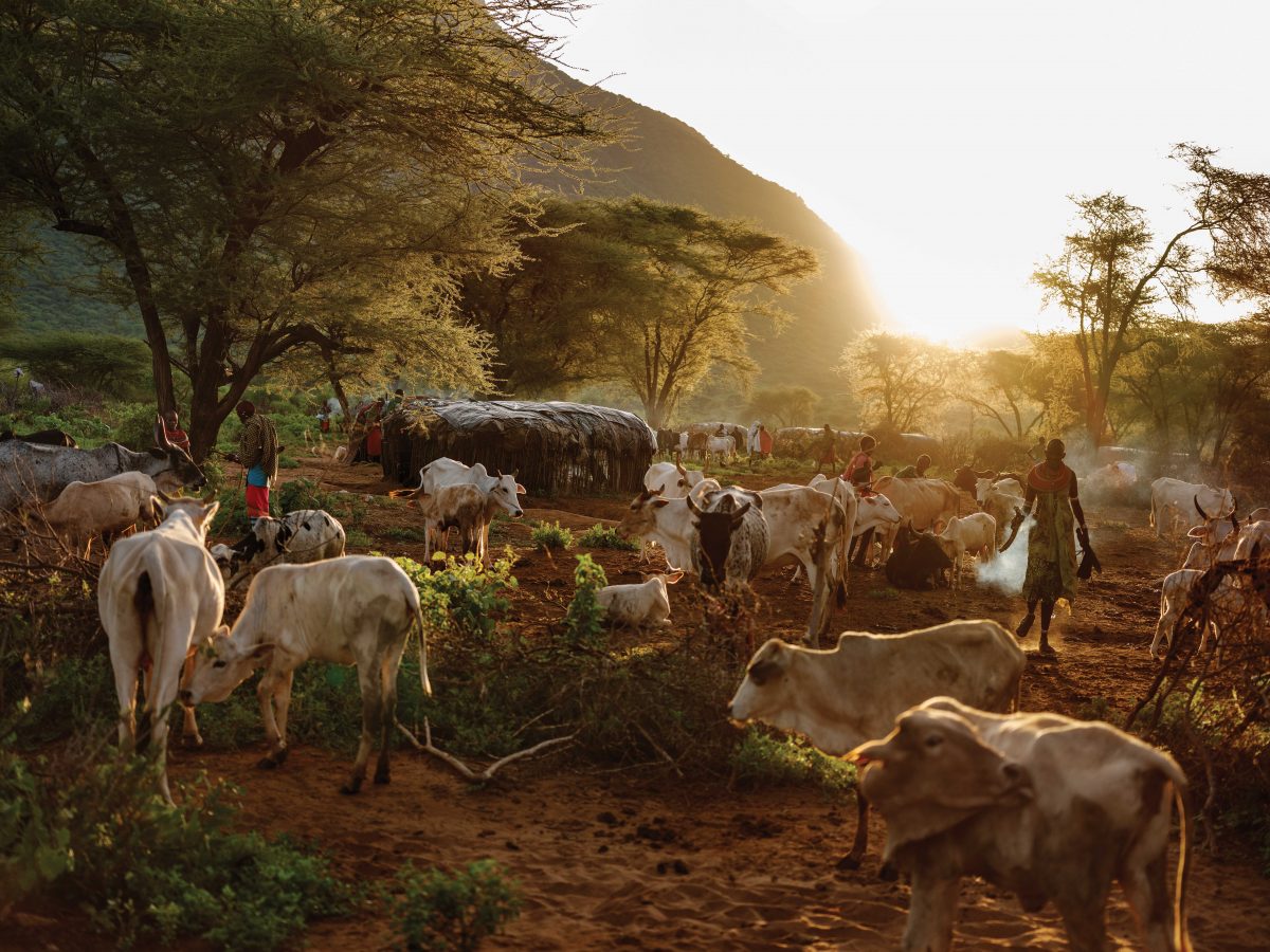 คนเลี้ยงสัตว์, งานอนุรักษ์ธรรมชาติ, คนเลี้ยงสัตว์