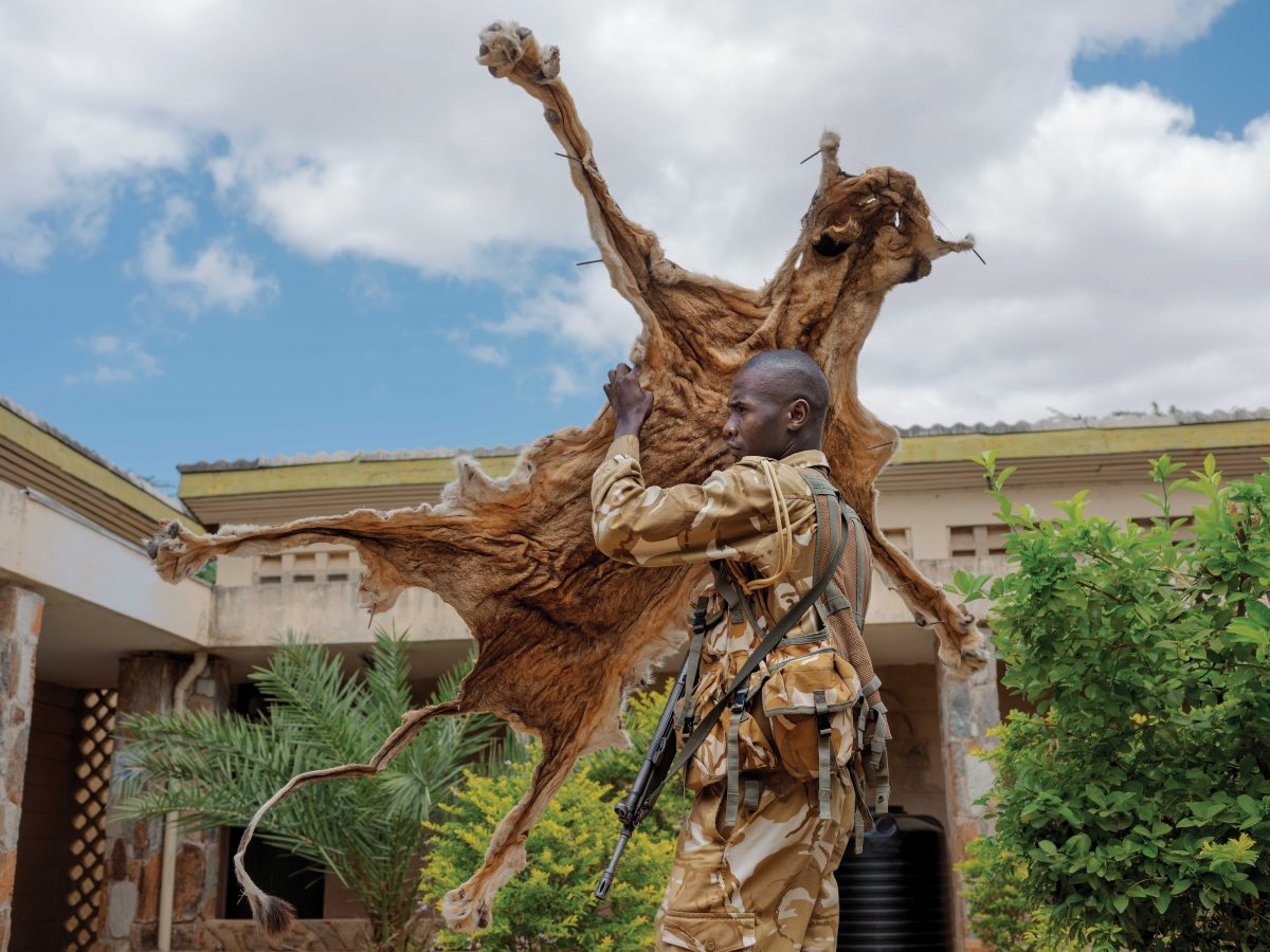 หนังสัตว์, เคนยา, เจ้าหน้าที่พิทักษ์ป่า