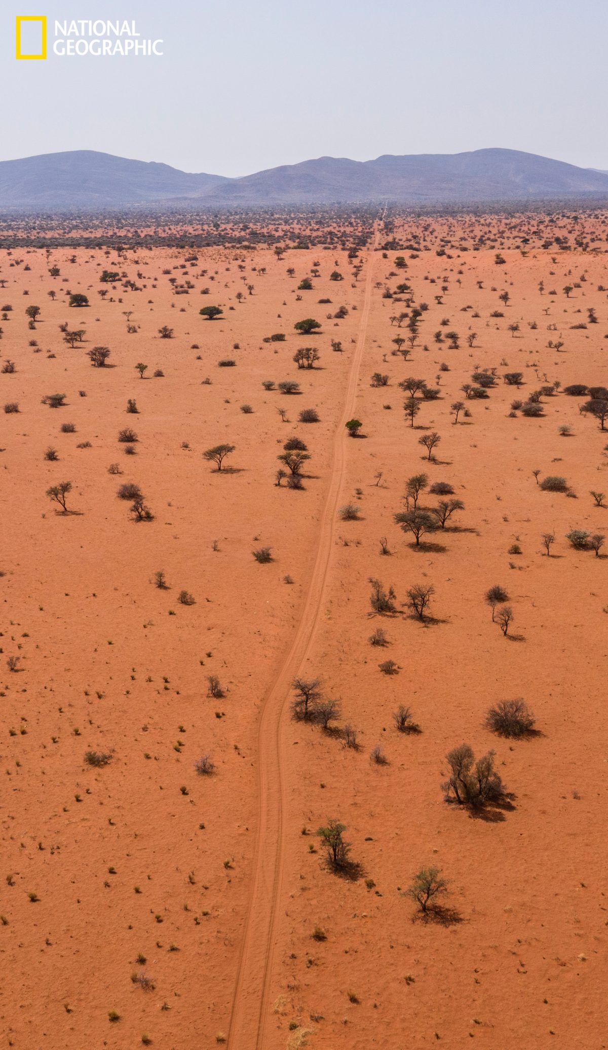 ทะเลทราย, คาราฮารี