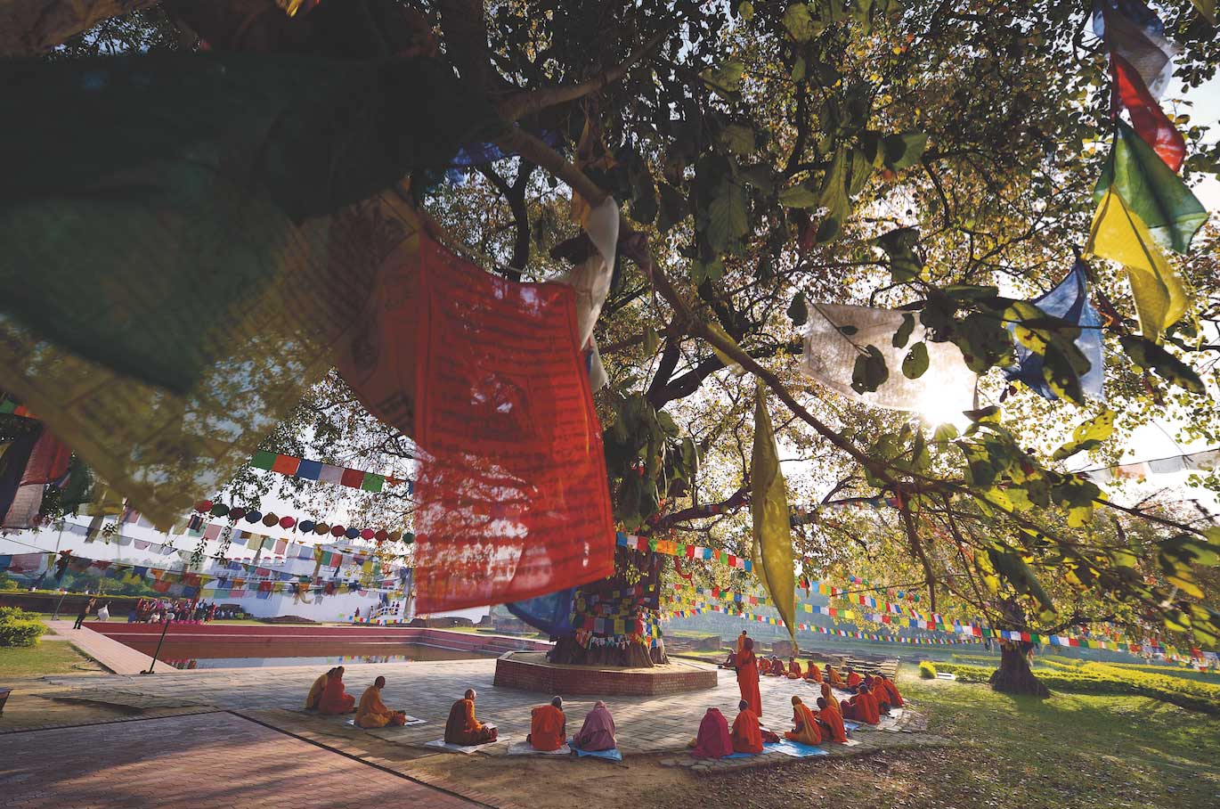 ต้นโพธิ์, สวนลุมพินีวัน, เนปาล, ตามรอยพระพุทธเจ้า